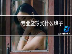 专业篮球买什么牌子