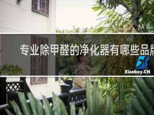 专业除甲醛的净化器有哪些品牌