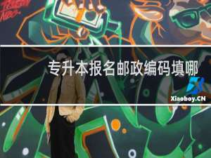 专升本报名邮政编码填哪里的