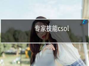 专家技能csol