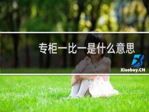 专柜一比一是什么意思