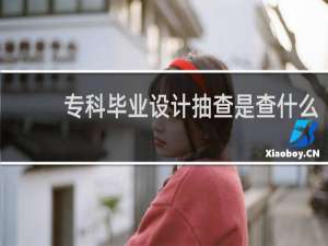 专科毕业设计抽查是查什么