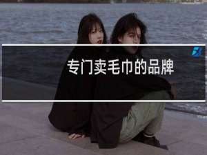 专门卖毛巾的品牌