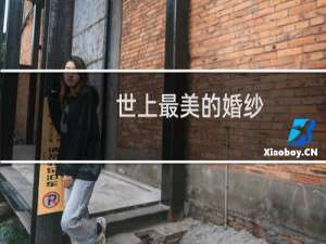 世上最美的婚纱