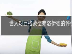 世人对西格蒙德弗洛伊德的评价