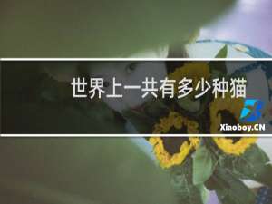 世界上一共有多少种猫