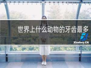 世界上什么动物的牙齿最多