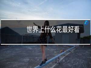 世界上什么花最好看