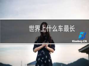 世界上什么车最长