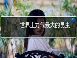 世界上力气最大的昆虫