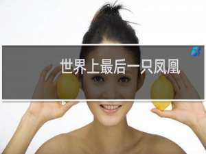 世界上最后一只凤凰
