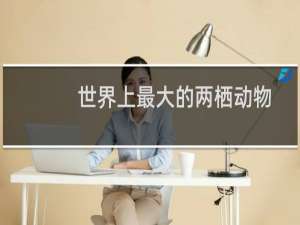 世界上最大的两栖动物