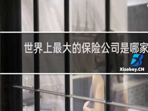 世界上最大的保险公司是哪家