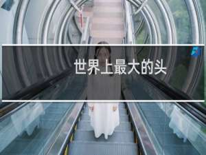 世界上最大的头
