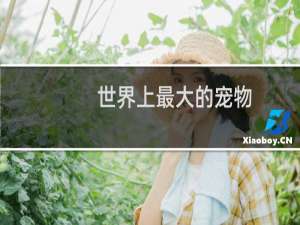 世界上最大的宠物