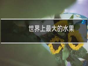世界上最大的水果