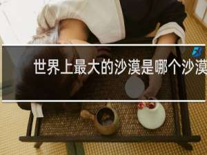 世界上最大的沙漠是哪个沙漠