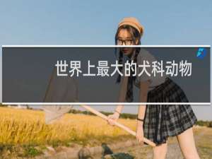 世界上最大的犬科动物