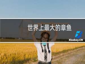 世界上最大的章鱼