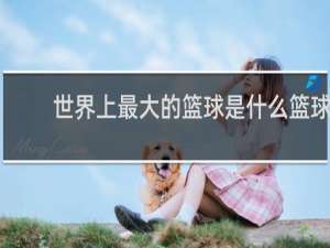 世界上最大的篮球是什么篮球