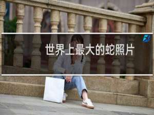 世界上最大的蛇照片