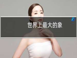 世界上最大的象