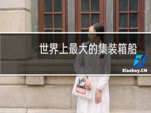 世界上最大的集装箱船