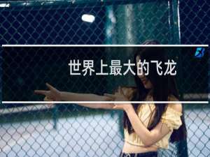 世界上最大的飞龙