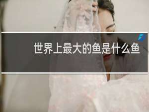 世界上最大的鱼是什么鱼