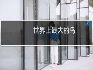世界上最大的鸟