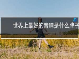 世界上最好的音响是什么牌子
