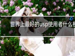 世界上最好的usp使用者什么梗
