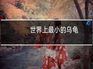 世界上最小的乌龟