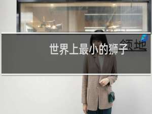世界上最小的狮子