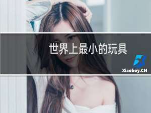 世界上最小的玩具