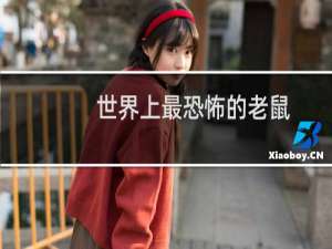 世界上最恐怖的老鼠