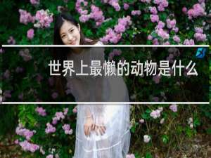 世界上最懒的动物是什么