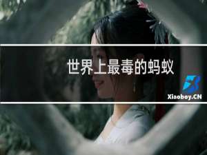世界上最毒的蚂蚁