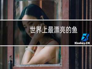 世界上最漂亮的鱼