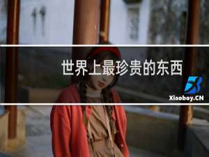 世界上最珍贵的东西