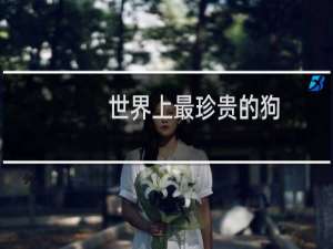 世界上最珍贵的狗