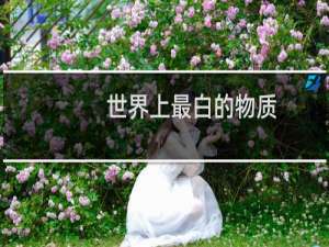 世界上最白的物质