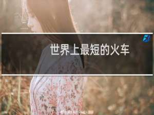 世界上最短的火车