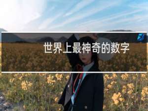 世界上最神奇的数字