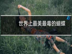 世界上最美最毒的蝴蝶