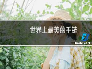 世界上最美的手链