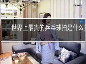 世界上最贵的乒乓球拍是什么拍