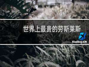 世界上最贵的劳斯莱斯
