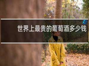 世界上最贵的葡萄酒多少钱