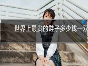 世界上最贵的鞋子多少钱一双